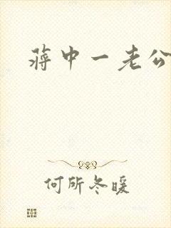 蒋中一老公封面