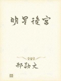 明星后宫