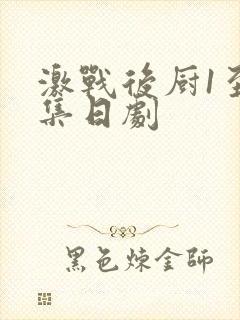 激战后厨1至5集日剧