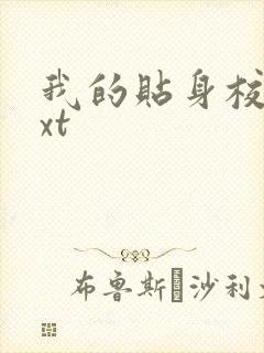我的贴身校花txt封面