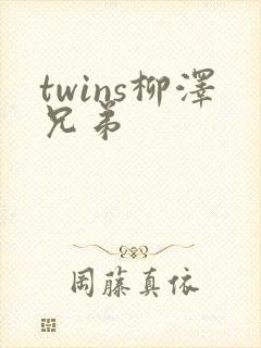 twins柳泽兄弟