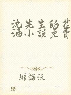 沈先生的花式调酒小说免费阅读封面