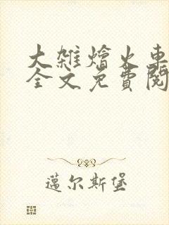 大杂烩火车小说全文免费阅读封面