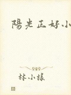 阳光正好小说