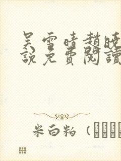 吴雪晴赵晓东小说免费阅读