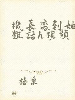 机长脔到她哭h粗话h视频