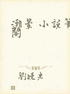 潮晕 小说笔趣阁