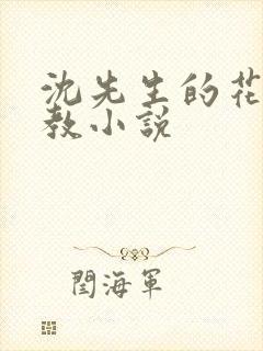 沈先生的花式管教小说封面