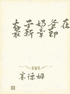 太子奶爸在花都最新章节封面