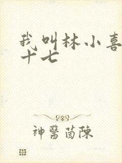 我叫林小喜今年十七
