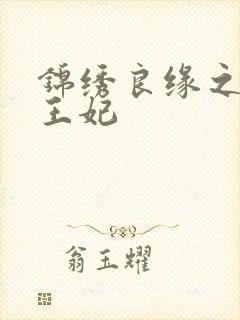 锦绣良缘之北地王妃封面
