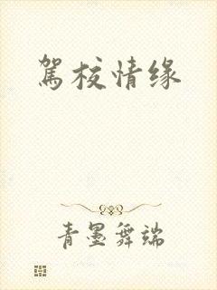驾校情缘