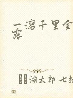 一泻千里金银花露封面