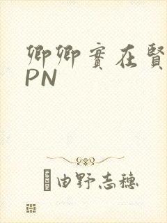 卿卿实在贤良NPN