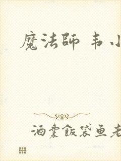魔法师 韦小宝