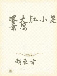 眼大肚小是什么意思