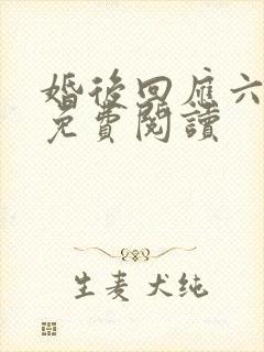 婚后回应六盲星免费阅读