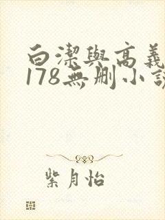 白洁与高义1～178无删小说封面