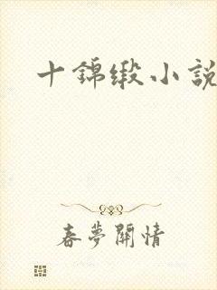 十锦缎小说