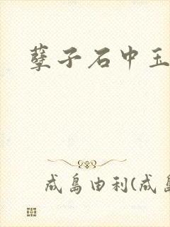 孽子石中玉