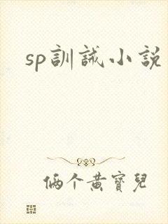 sp训诫小说