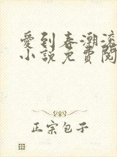 爱到春潮滚滚来小说免费阅读
