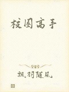 校园高手