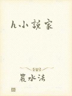 h小说家
