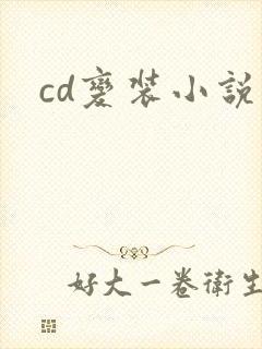 cd变装小说