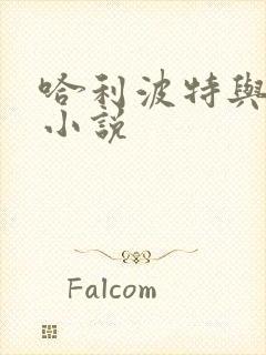 哈利波特与密室小说