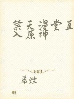 禁天漫堂直接进入原神