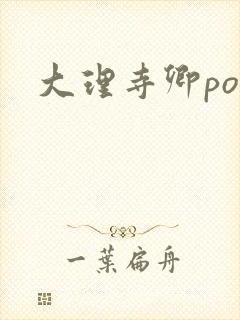 大理寺卿po封面
