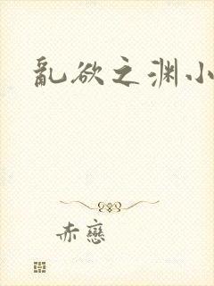 乱欲之渊小说封面