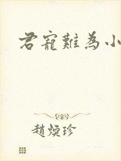 君宠难为小说