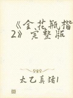 《金花瓶楷梅花2》完整版