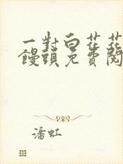 一对白花花的大馒头免费阅读