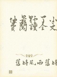 他最野了小说免费阅读全文
