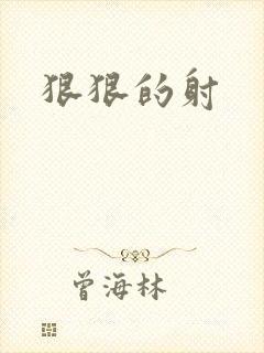狠狠的射