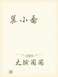 慕小乔封面