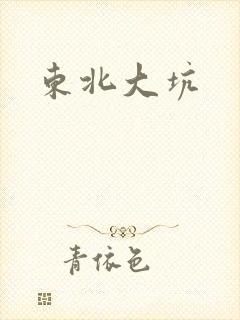 东北大坑封面