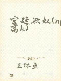 宫廷欲奴(np高h)