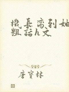机长脔到她哭h粗话h文封面