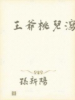 王爷桃儿泻了封面