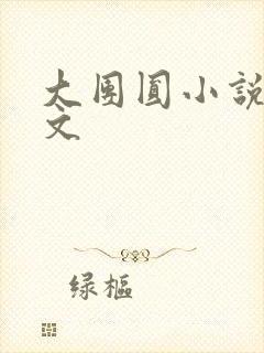 大团圆小说集全文