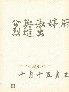 公与淑婷厨房猛烈进出