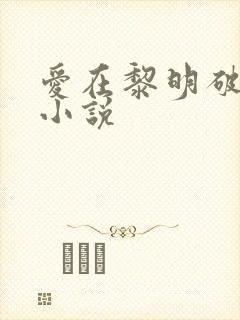 爱在黎明破晓前小说