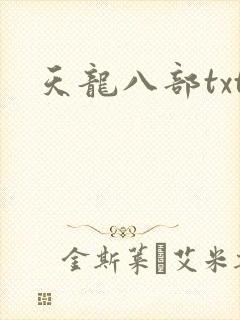 天龙八部txt