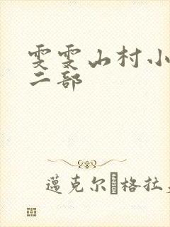 雯雯山村小说第二部封面