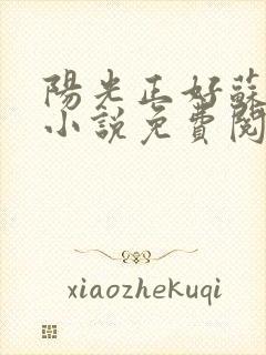 阳光正好苏玥玥小说免费阅读无弹窗