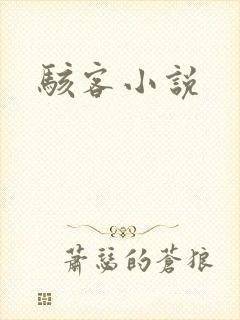 骇客小说